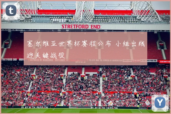 塞尔维亚世界杯赛程公布 小组出线迎关键战役
