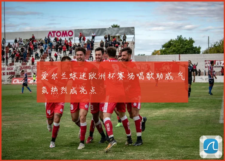 爱尔兰球迷欧洲杯赛场唱歌助威 气氛热烈成亮点