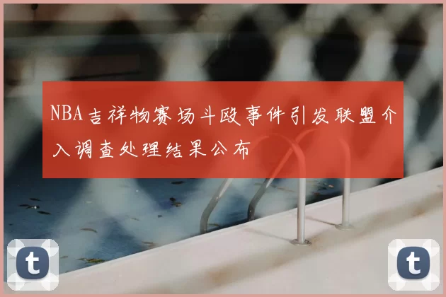 NBA吉祥物赛场斗殴事件引发联盟介入调查处理结果公布